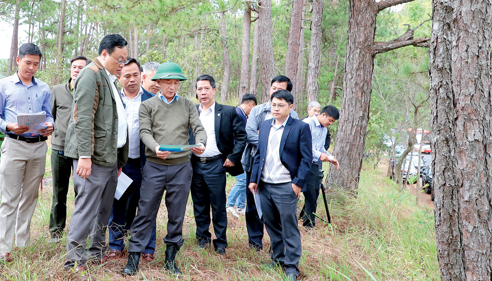 Thực hiện quyết liệt nhiệm vụ năm 2023