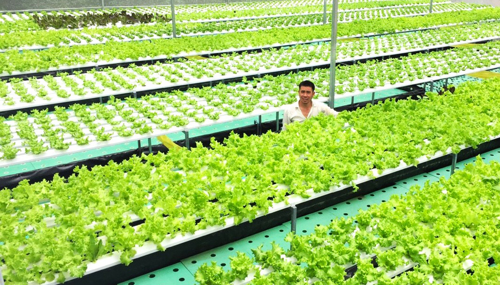 Phát triển nông nghiệp gắn với bảo vệ môi trường