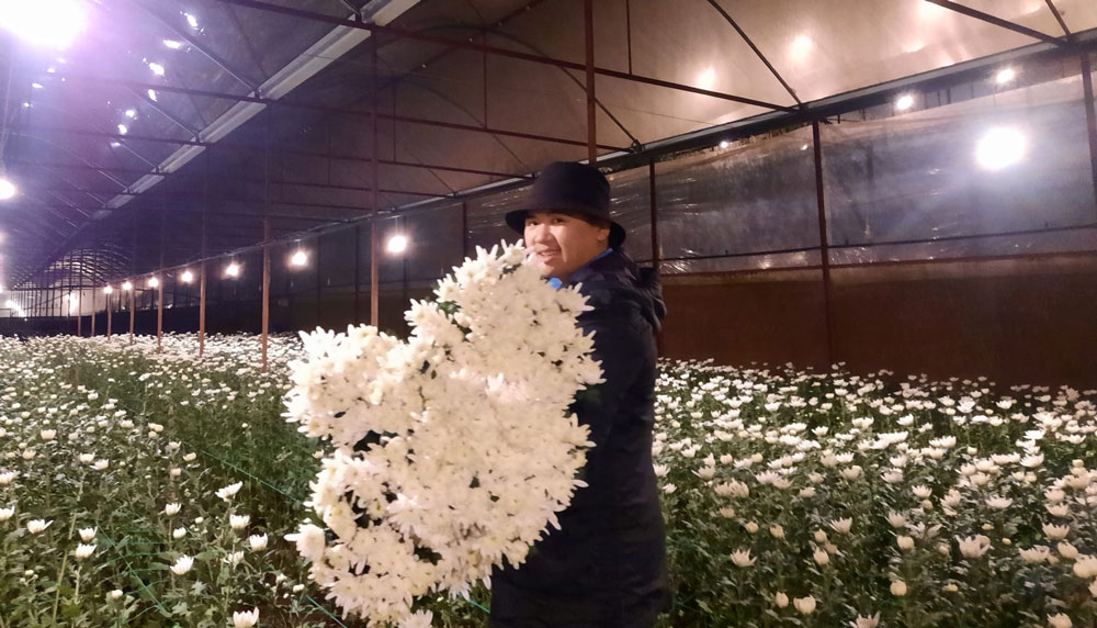 Hiệu quả những mô hình khuyến nông