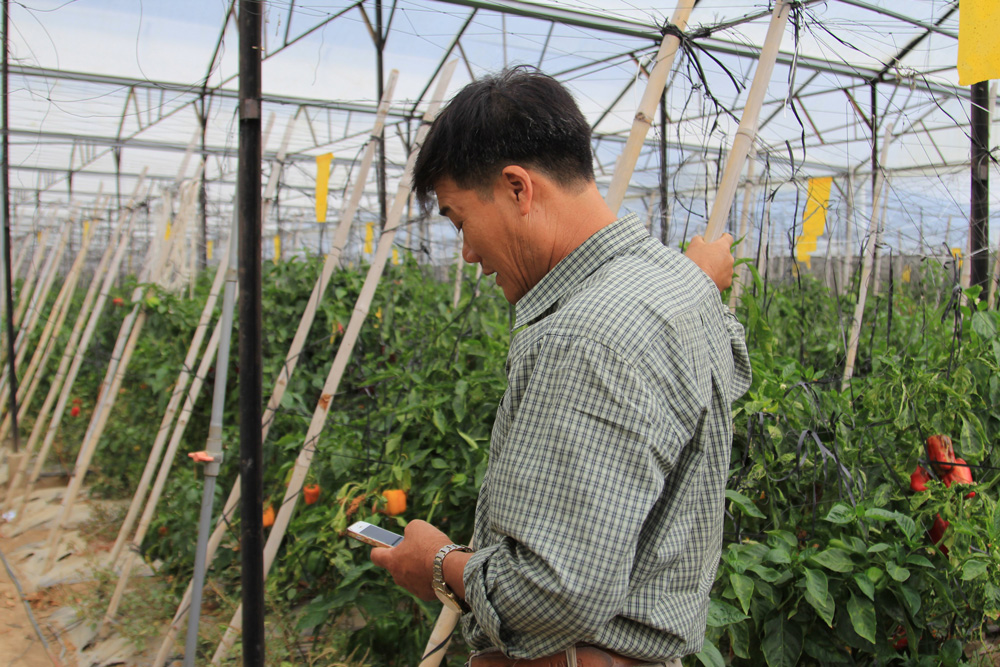 Chuyển dịch cơ cấu nông nghiệp ở Đơn Dương