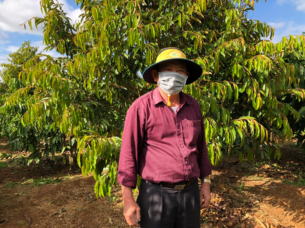 Người nông dân trồng rừng nuôi cây