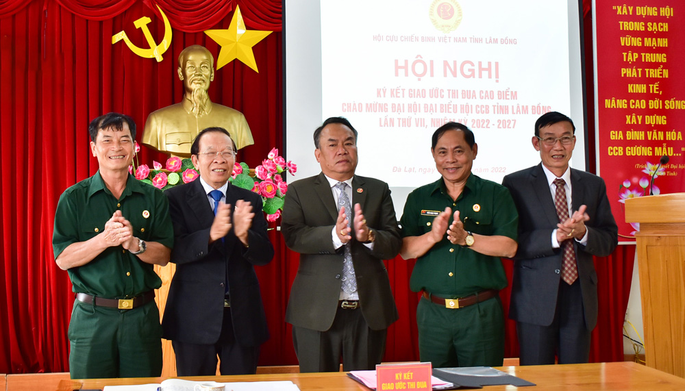 Hội Cựu chiến binh tập trung thực hiện Nghị quyết 22 của Tỉnh ủy