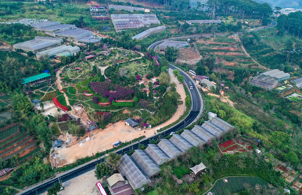 Đảm bảo an toàn giao thông trên đèo Mimosa
