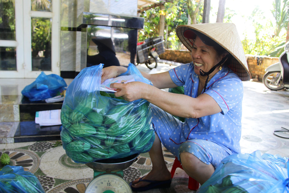 Mô hình rau sạch ''bén duyên'' với người dân