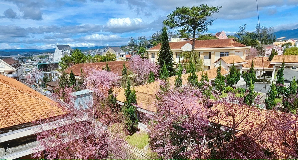 Xây dựng cơ sở y tế xanh - sạch - đẹp