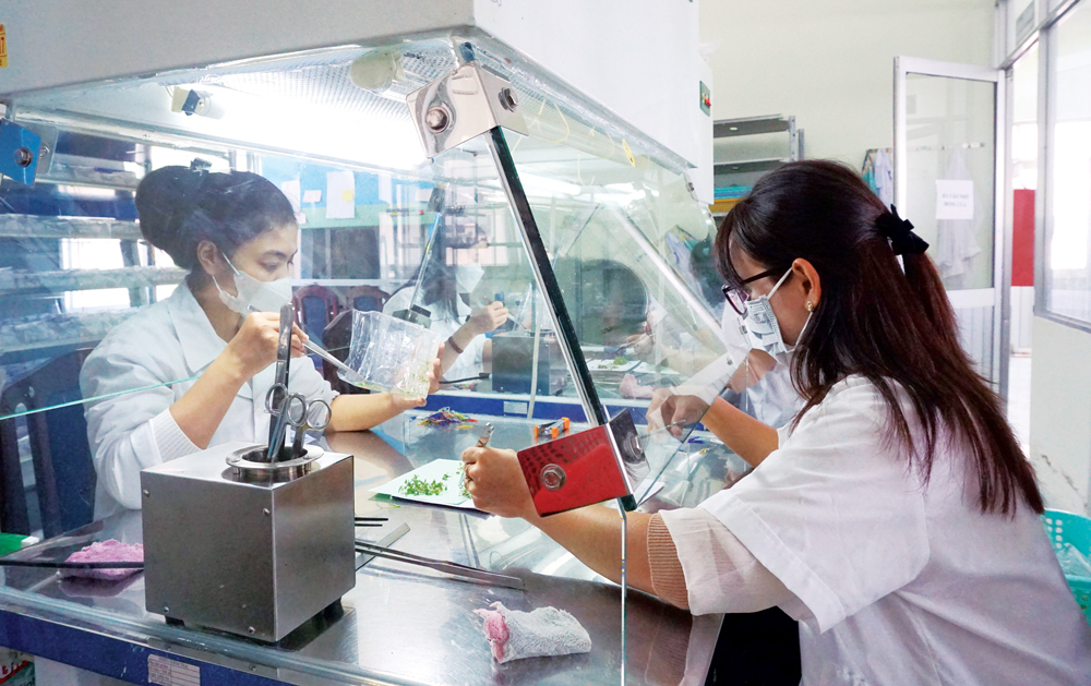 BÁO XUÂN GIÁP THÌN 2024: Giống sạch cho nông nghiệp xanh