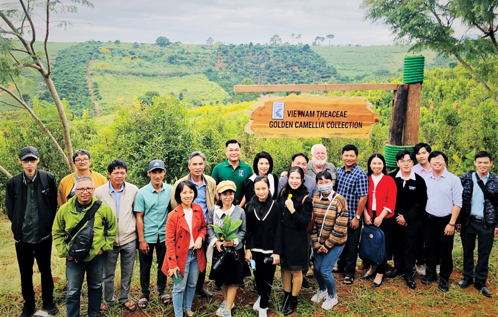 BÁO XUÂN GIÁP THÌN 2024: Lên non gặp “nữ hoàng trà”