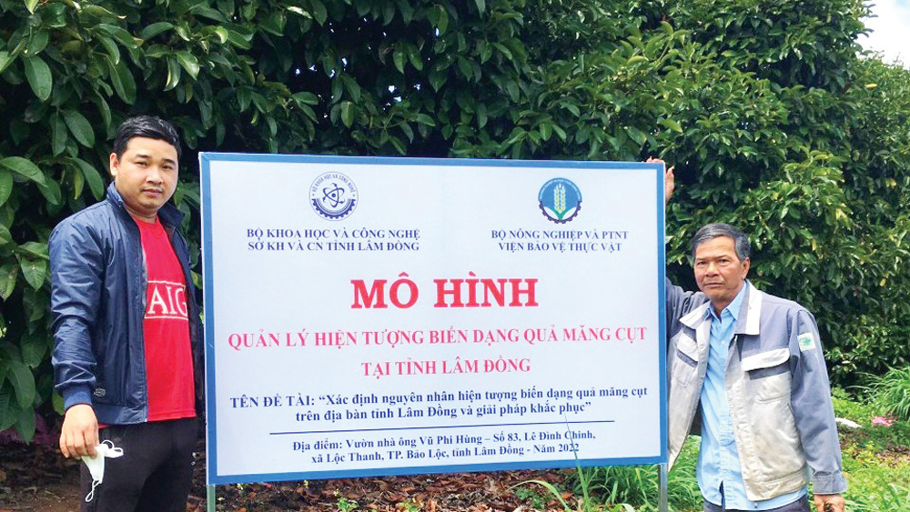 Hành trình xây dựng thương hiệu măng cụt Bảo Lộc