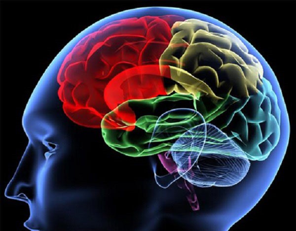 Nhật Bản sử dụng AI để phân tích khối u não ác tính