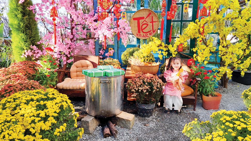 Về nhà vui Tết