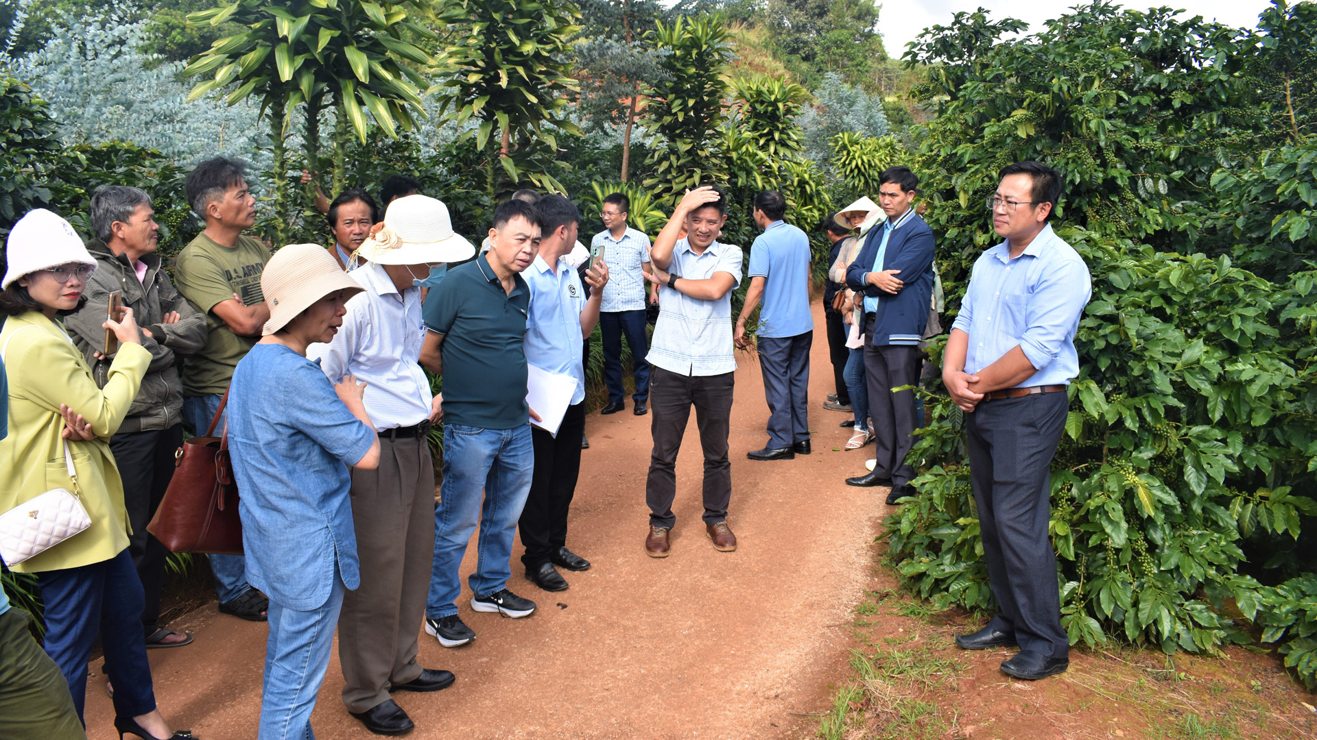 Hướng phát triển của cây công nghiệp chủ lực