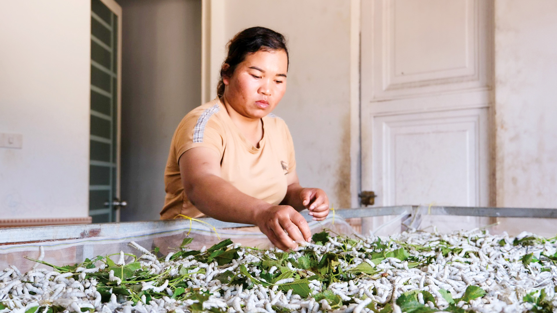 Lâm Hà: Trên hành trình giảm nghèo bền vững