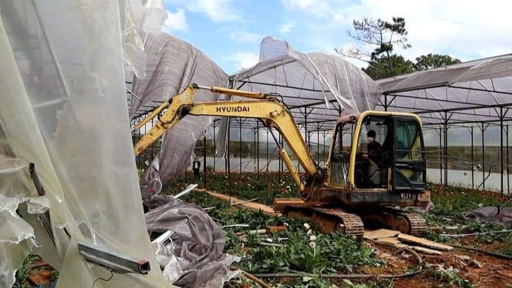 Hiệp An nỗ lực giải tỏa nhà kính trên đất lâm nghiệp