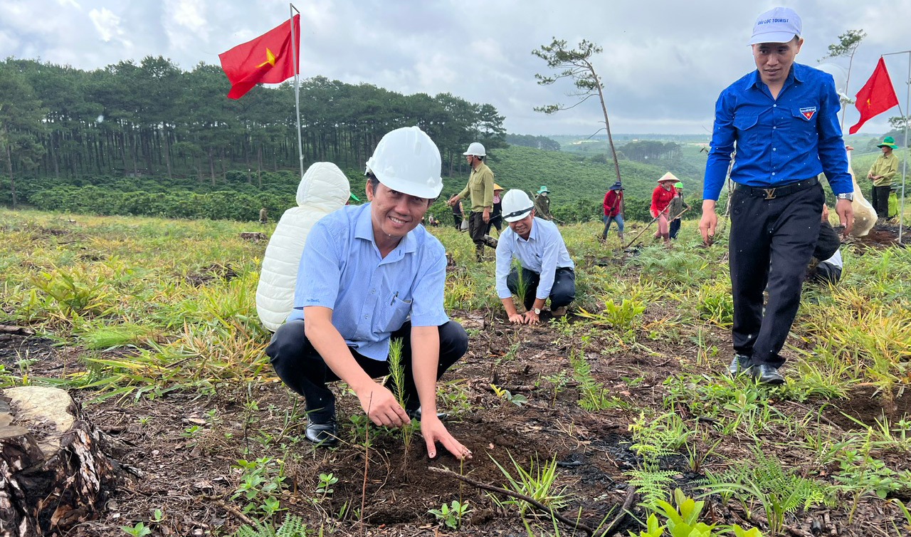 Bảo Lâm trồng cây xanh vượt kế hoạch năm 2023