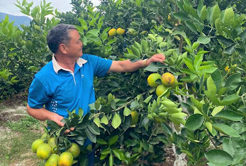Diện mạo nông thôn mới tiếp tục khởi sắc