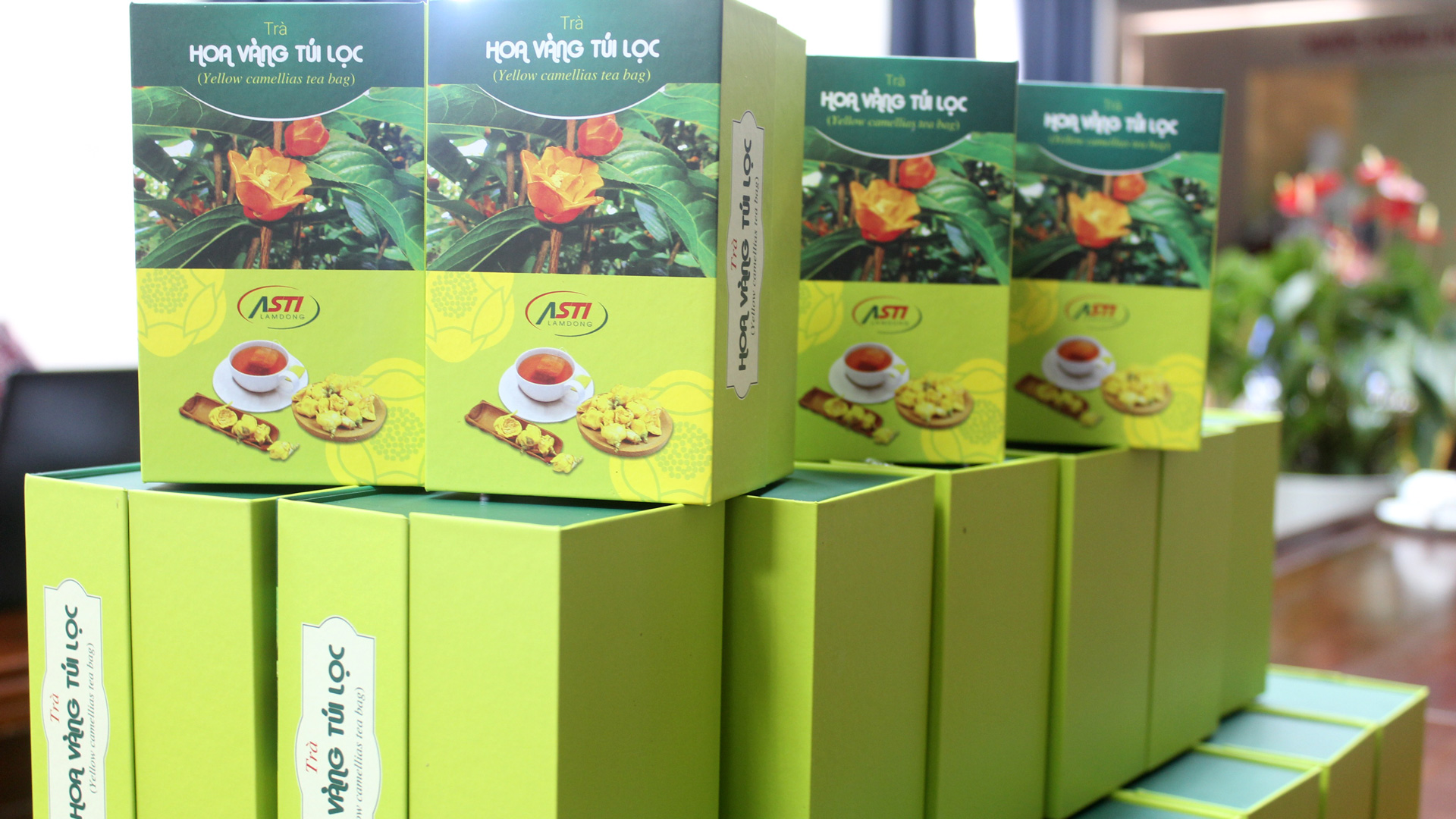 Phát triển nguồn gen, nhân rộng sản xuất trà hoa vàng