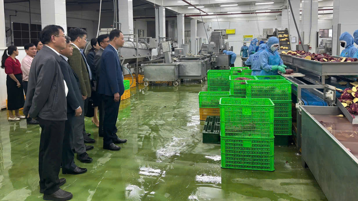 Chủ tịch UBND tỉnh Lâm Đồng kiểm tra hoạt động sản xuất, kinh doanh tại các doanh nghiệp ở Đức Trọng dịp đầu xuân
