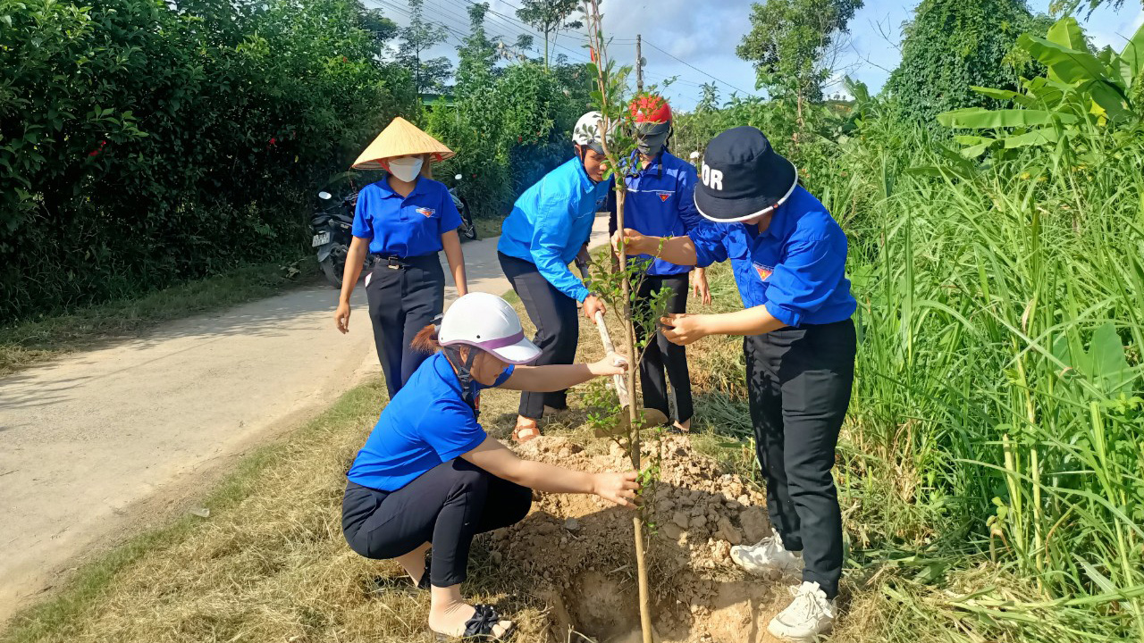 Đức Trọng tăng cường bảo vệ và phát triển rừng