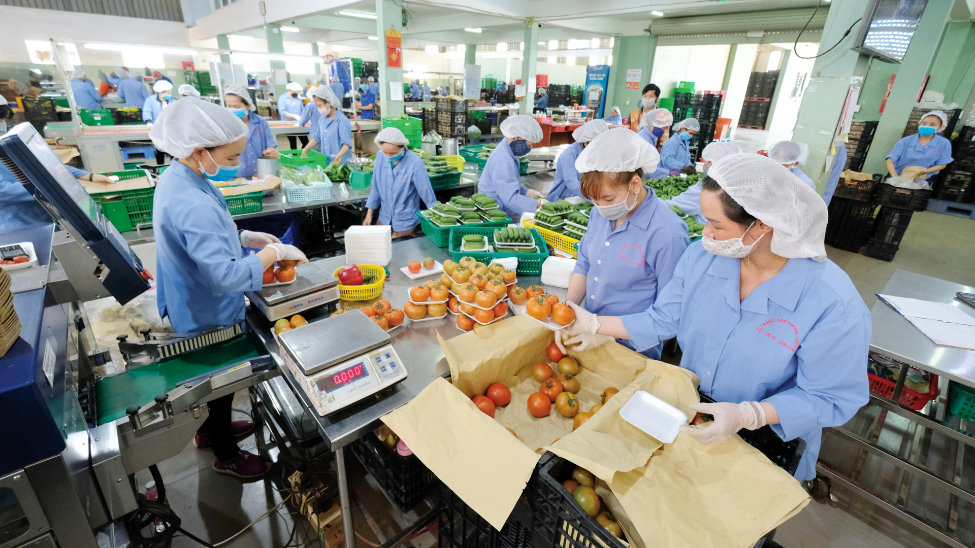 Nâng cao chất lượng sản phẩm để thúc đẩy xuất khẩu