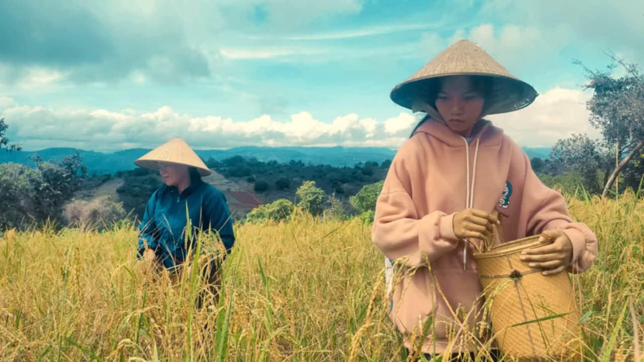 Thơm hương lúa mẹ