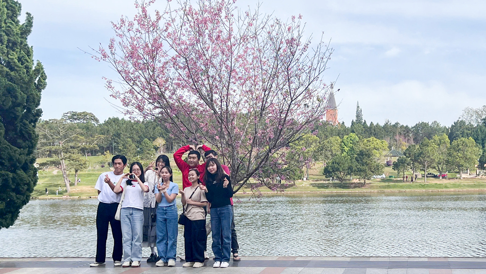 Lượng khách đến Đà Lạt dịp Tết Nguyên đán 2025 giảm