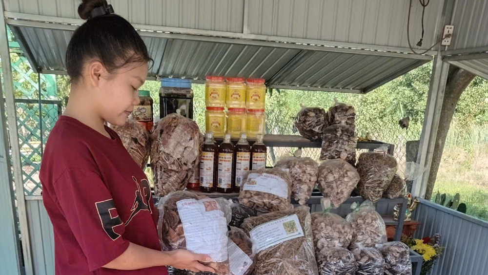 Xuân về trên Tỉnh lộ 721 