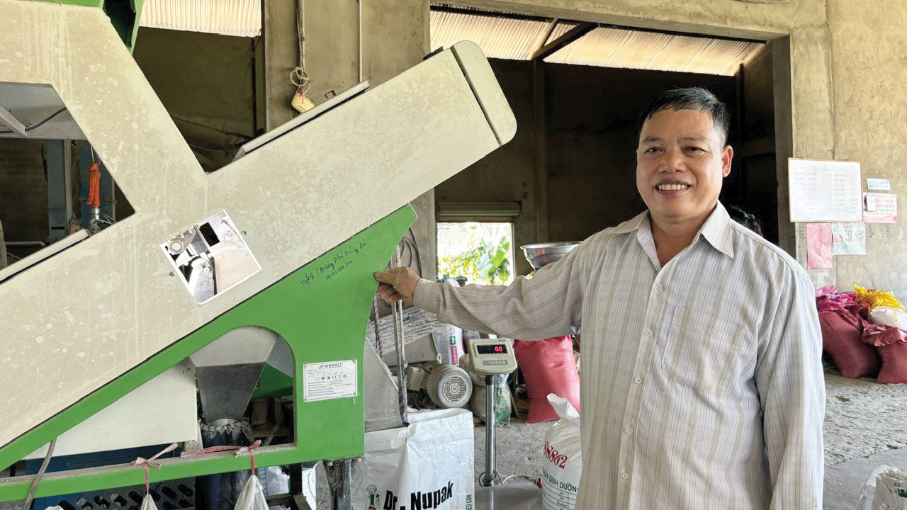 Tìm hướng đi cho hạt lúa thơm