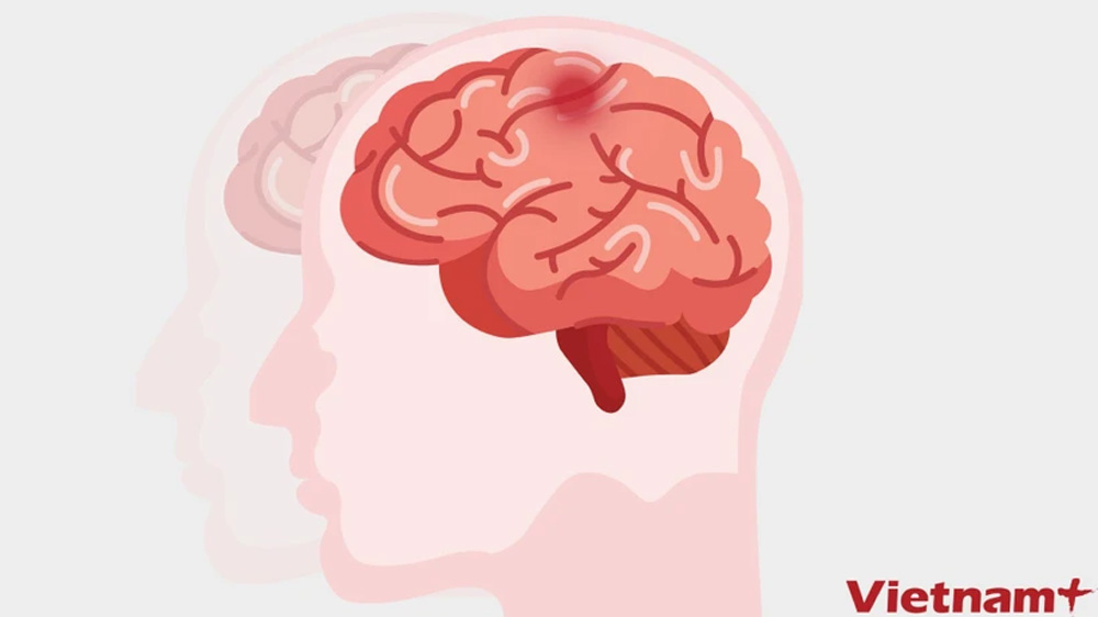 Phát triển phương pháp đo lường hoạt động gene then chốt trong não