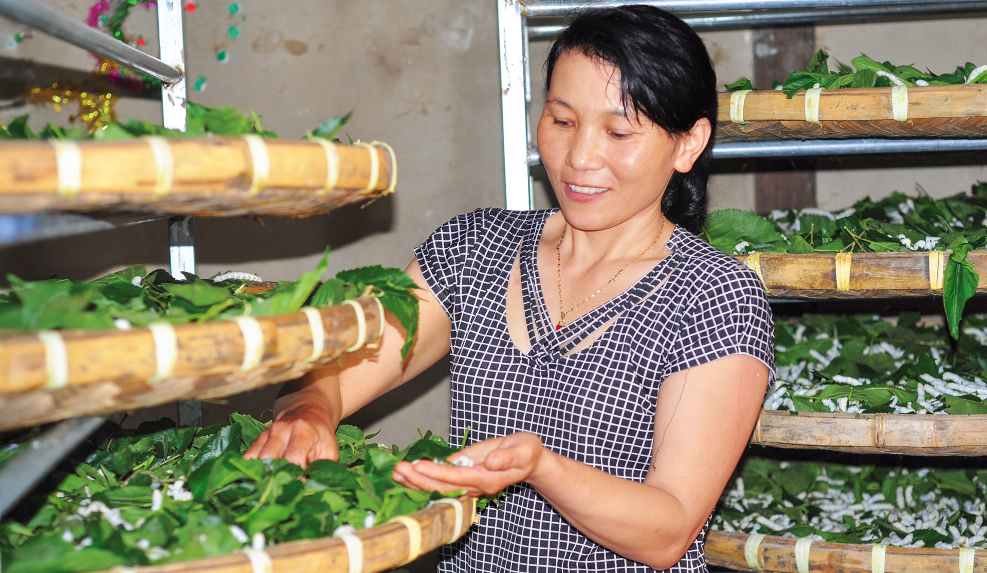 Di Linh đạt nhiều kết quả trong công tác giảm nghèo
