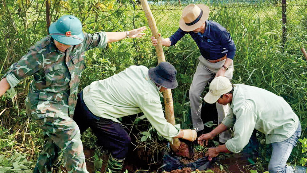 Dân vận vì dân