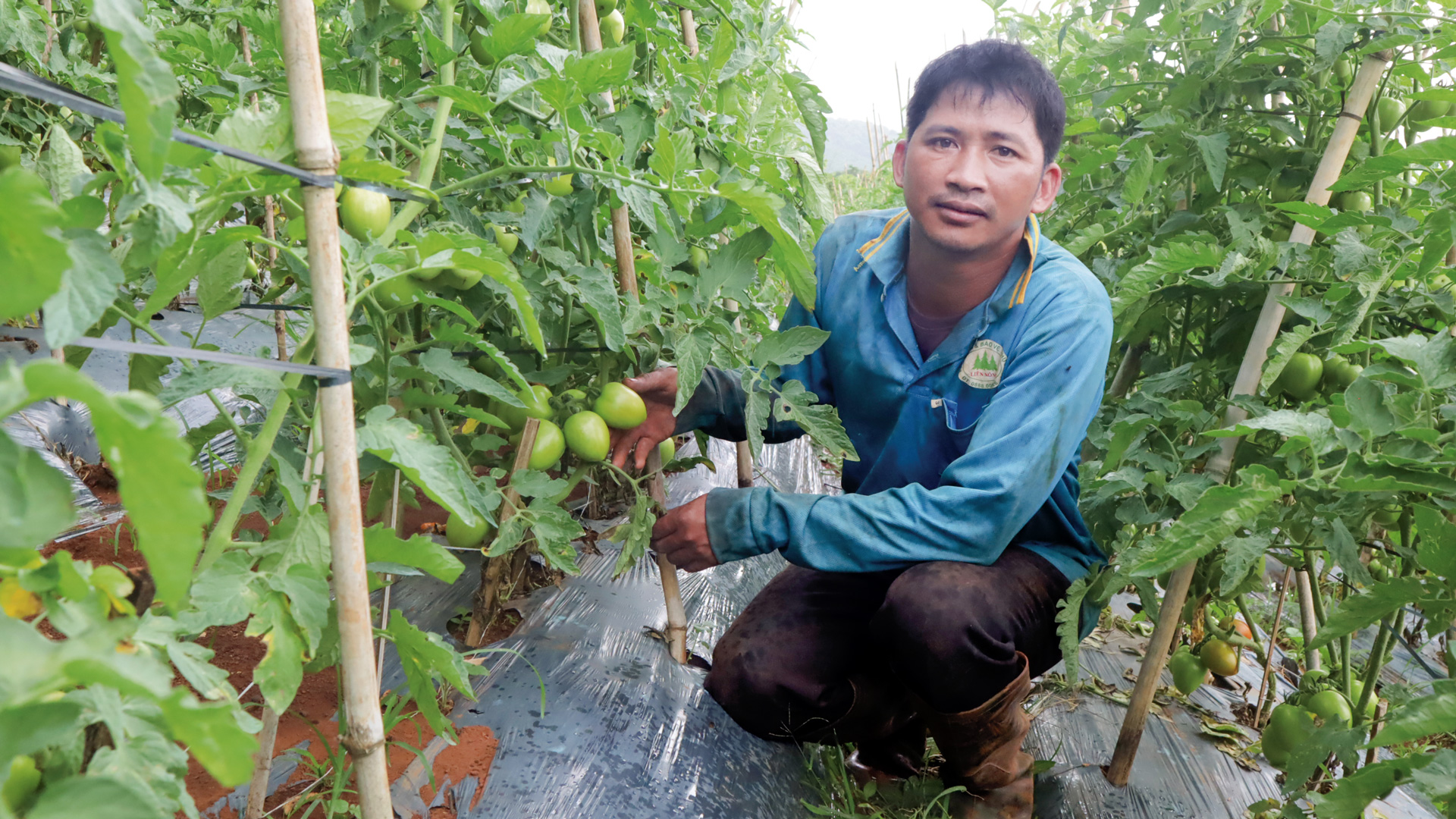 Di Linh: Tạo nguồn nhân lực chất lượng cao