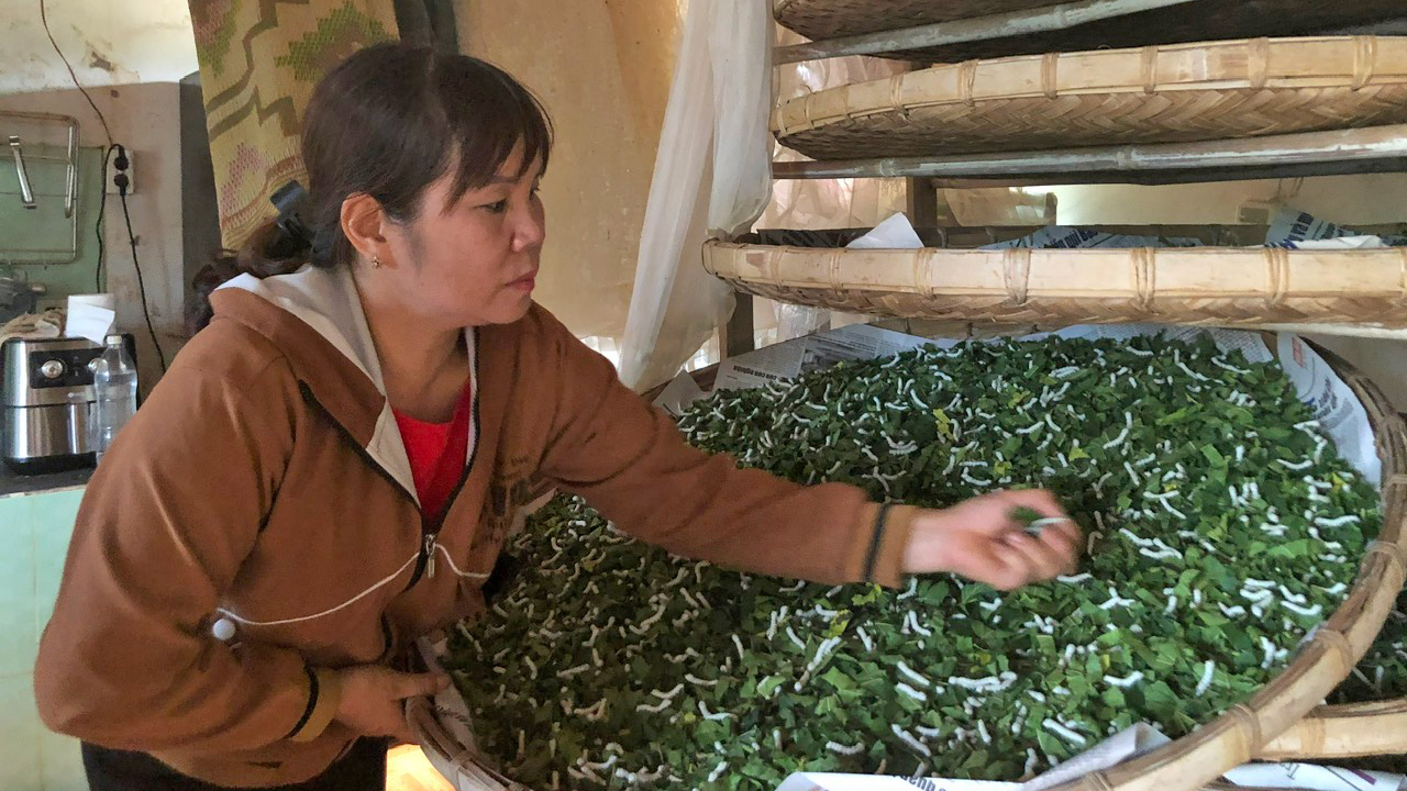 Góp phần mang lại ấm no, hạnh phúc trên quê mới Hoài Đức