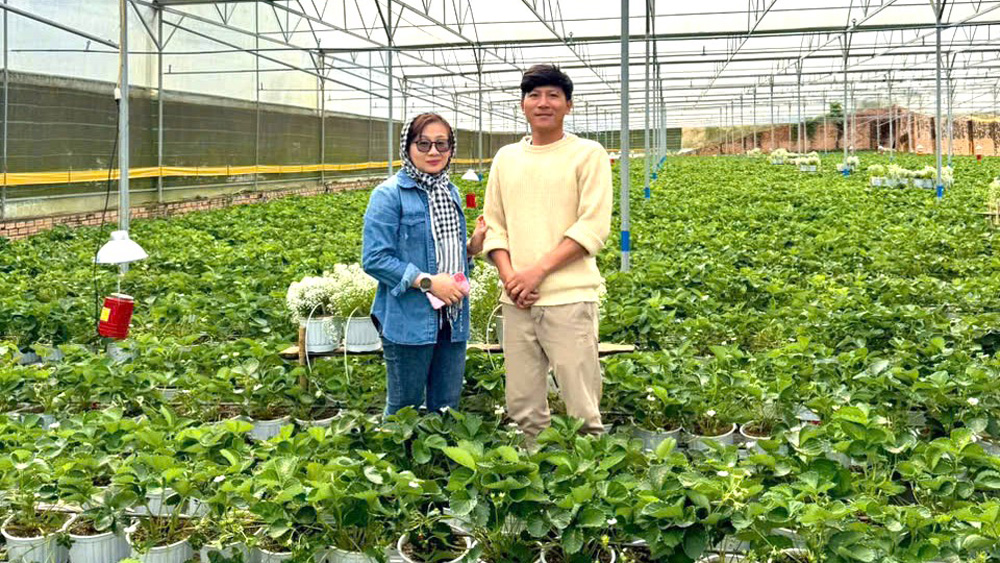 Nông nghiệp bền vững dựa trên các giải pháp then chốt