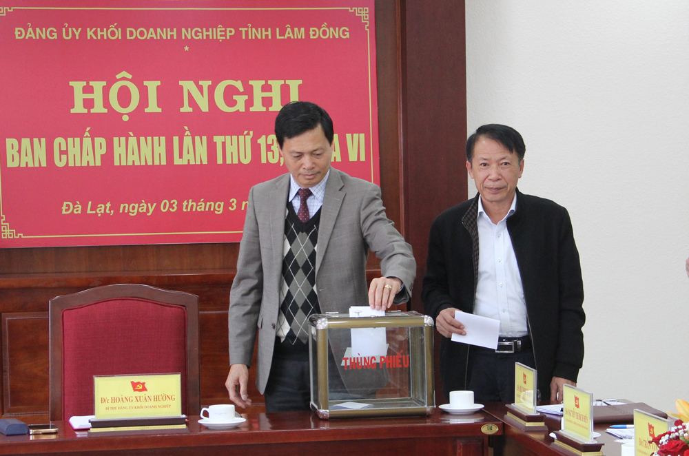 Thực hiện quy trình bổ sung nhân sự Ban Chấp hành Đảng bộ Khối Doanh nghiệp tỉnh