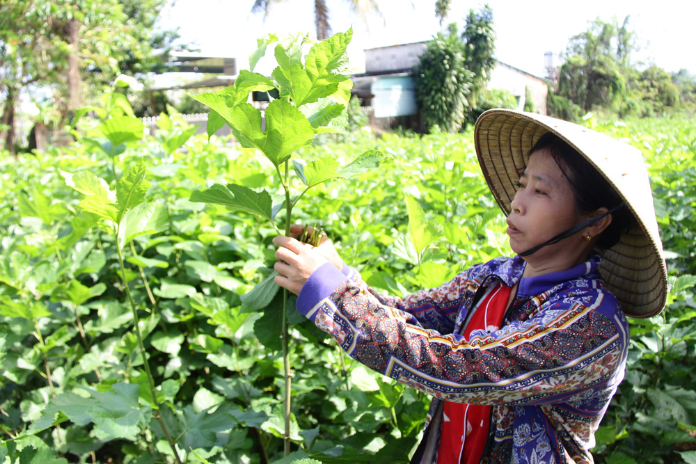 Nhịp cầu kết nối, sẻ chia yêu thương