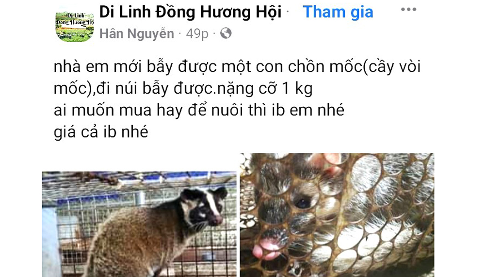 Di Linh: Vô tư rao bán động vật hoang dã trên mạng xã hội
