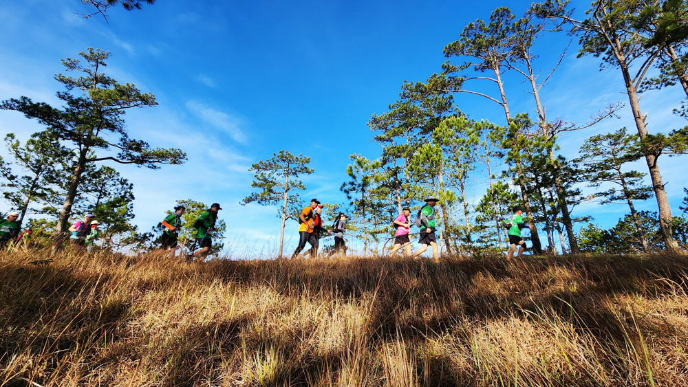 Dalat Ultra Trail đạt mốc 7.000 vận động viên