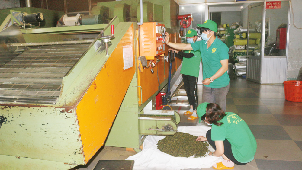 Lâm Hà: Đẩy mạnh kết nối nông nghiệp với công nghiệp chế biến