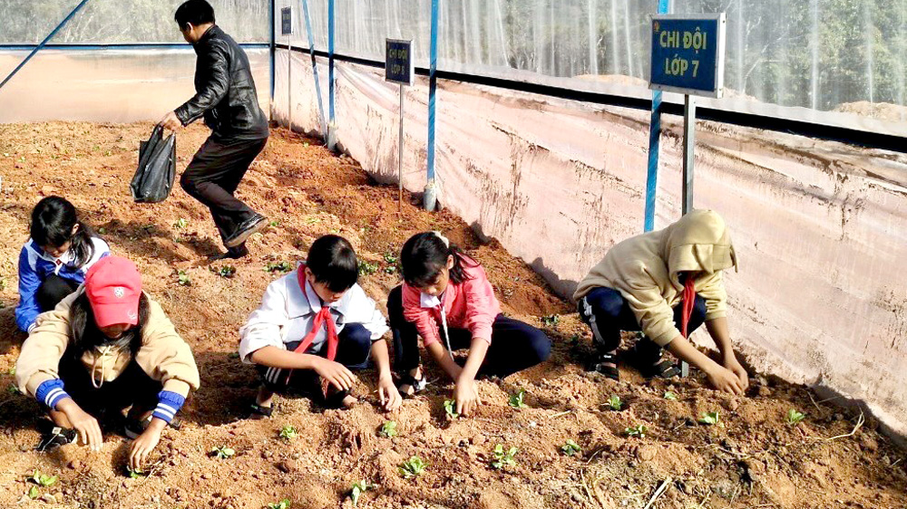 Làm nhà kính trồng rau sạch cho học sinh vùng sâu