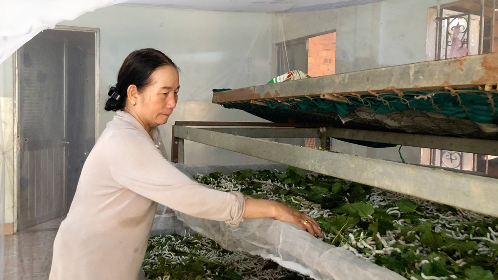 Buôn Klong Tum vươn lên từ con tằm