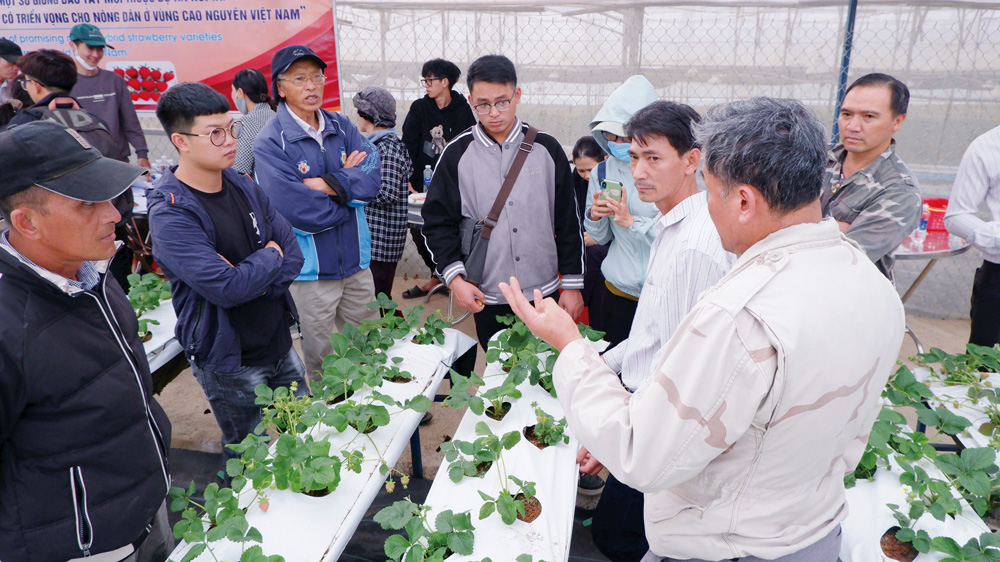Chiến lược phát triển nông nghiệp bền vững, nông thôn hiện đại
