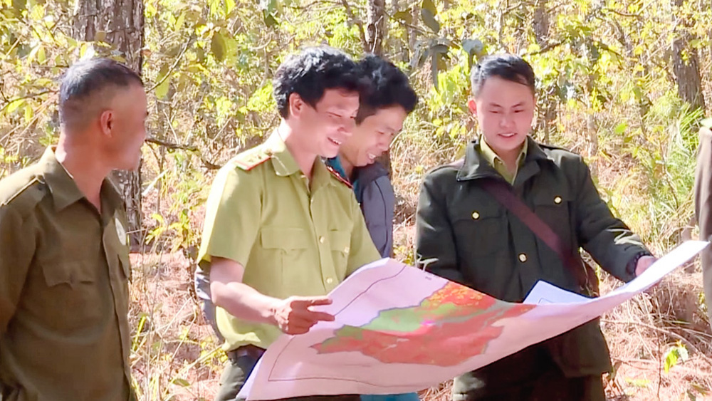 Đơn Dương chú trọng công tác quản lý, bảo vệ rừng