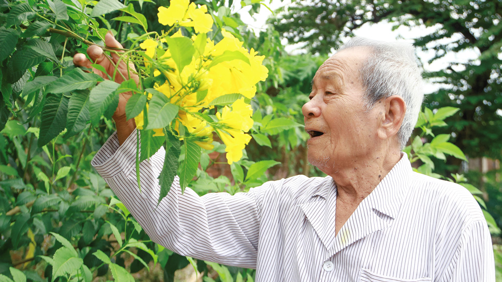 Những tuyến đường hoàng yến ''dát vàng'' không gian