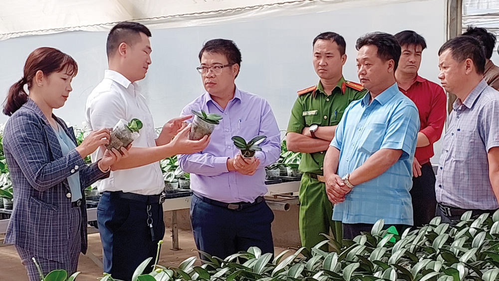 Đức Trọng - Đơn vị dẫn đầu các phong trào thi đua toàn tỉnh