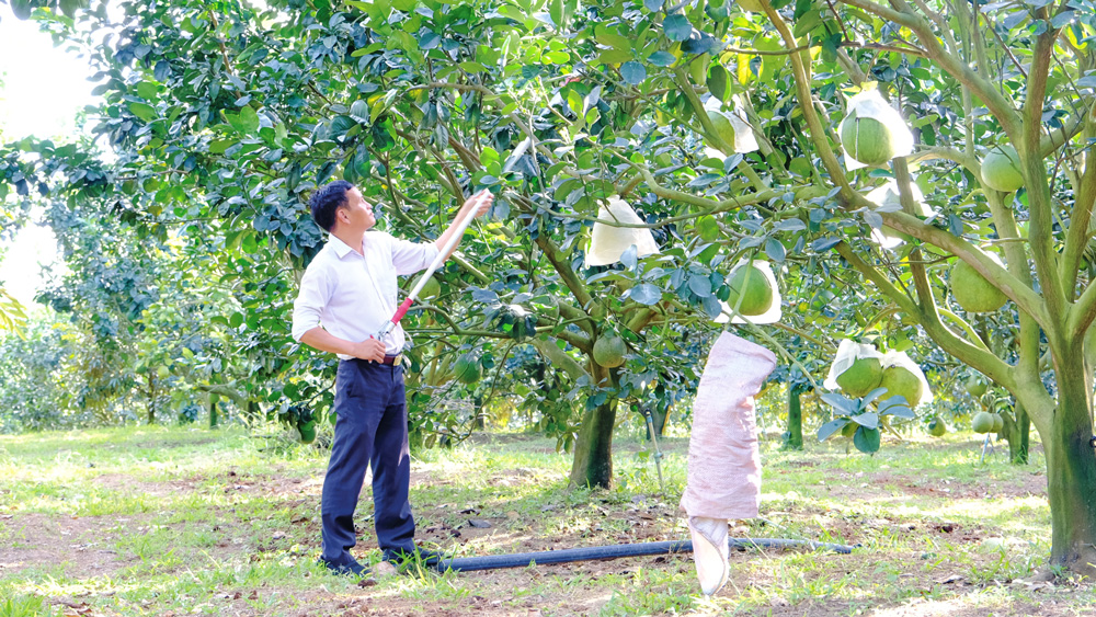 Cát Tiên: Chú trọng công tác đào tạo nghề nông thôn
