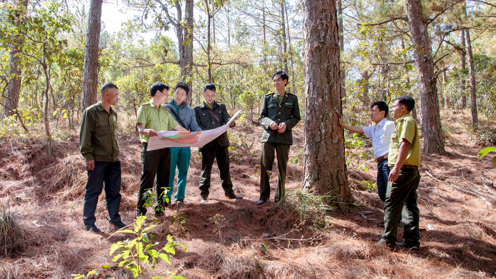Chi trả dịch vụ môi trường rừng đã tác động tích cực đến quản lý bảo vệ rừng ở Đơn Dương