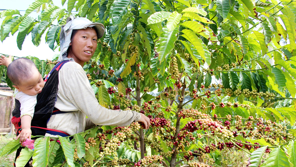 Những vấn đề đặt ra trong thực hiện công tác định canh, định cư