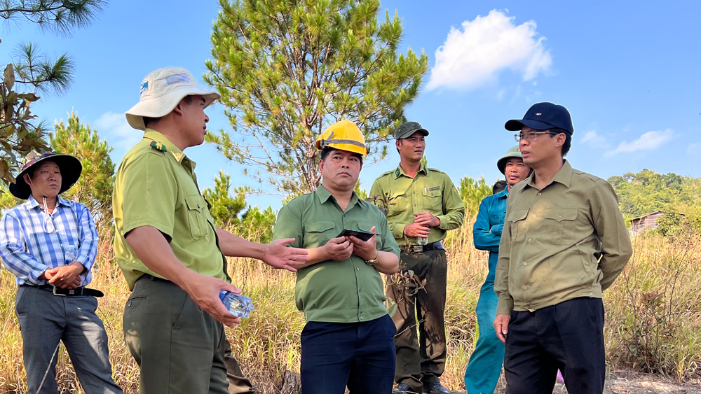 Di Linh quyết tâm không để cháy rừng