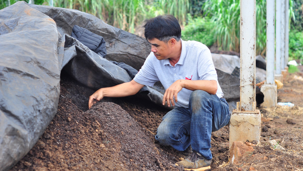 Nông nghiệp tuần hoàn nhìn từ khâu tái chế phụ, phế phẩm
