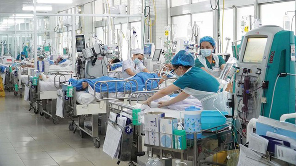 ‘Liều thuốc’ quý cho ngành y